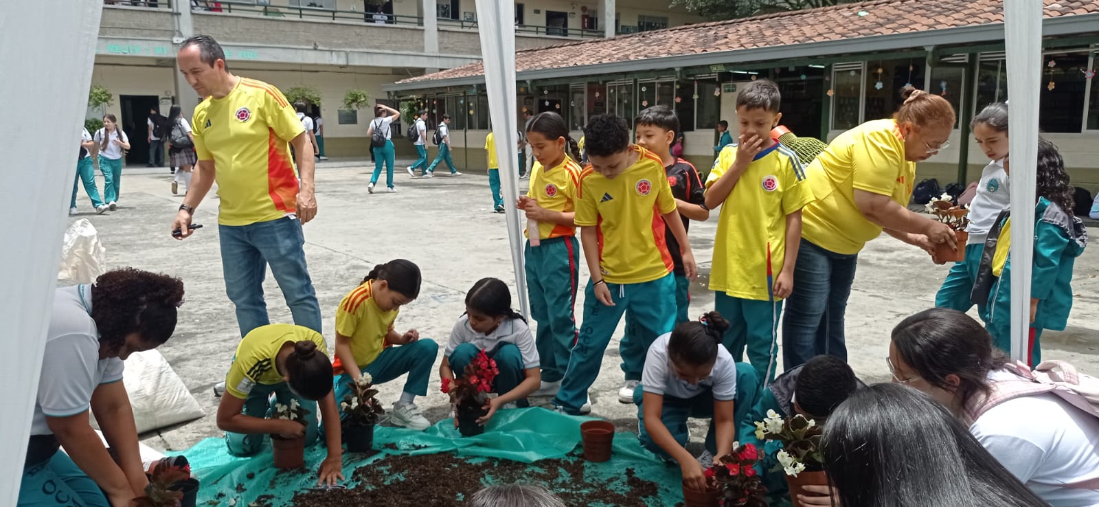 WhatsApp Image 2025-09-25 at 5.17.40 PM