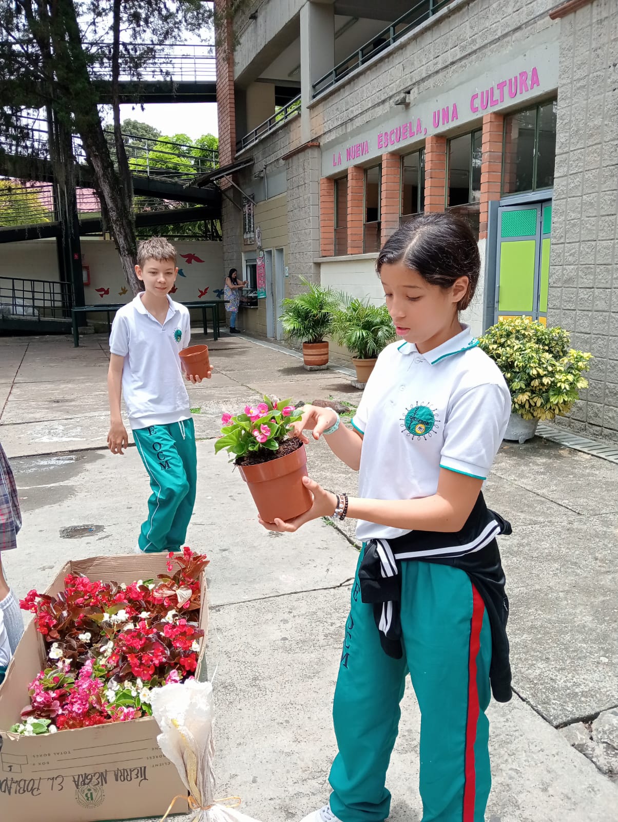 WhatsApp Image 2025-09-25 at 5.17.54 PM (3)