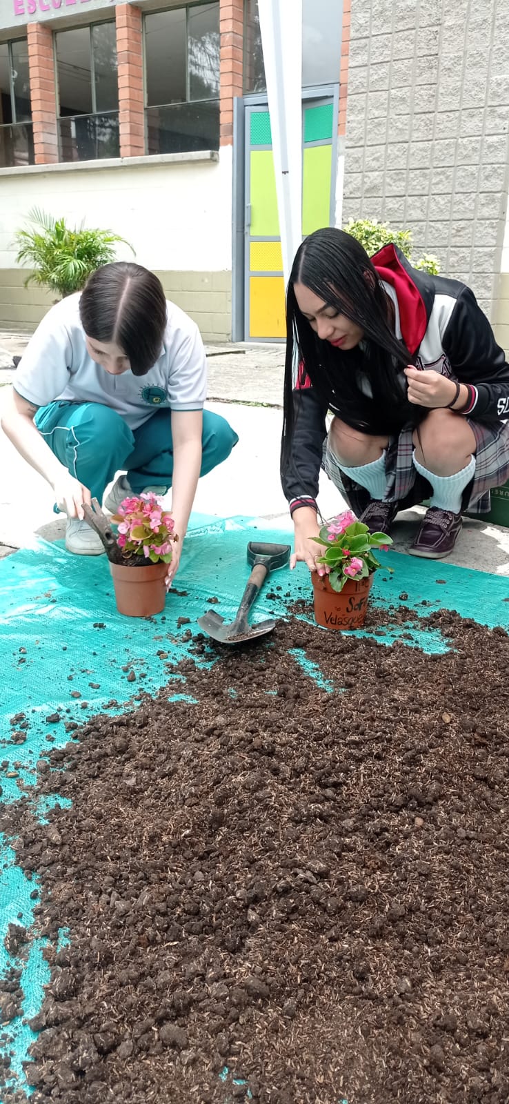 WhatsApp Image 2025-09-25 at 5.17.55 PM