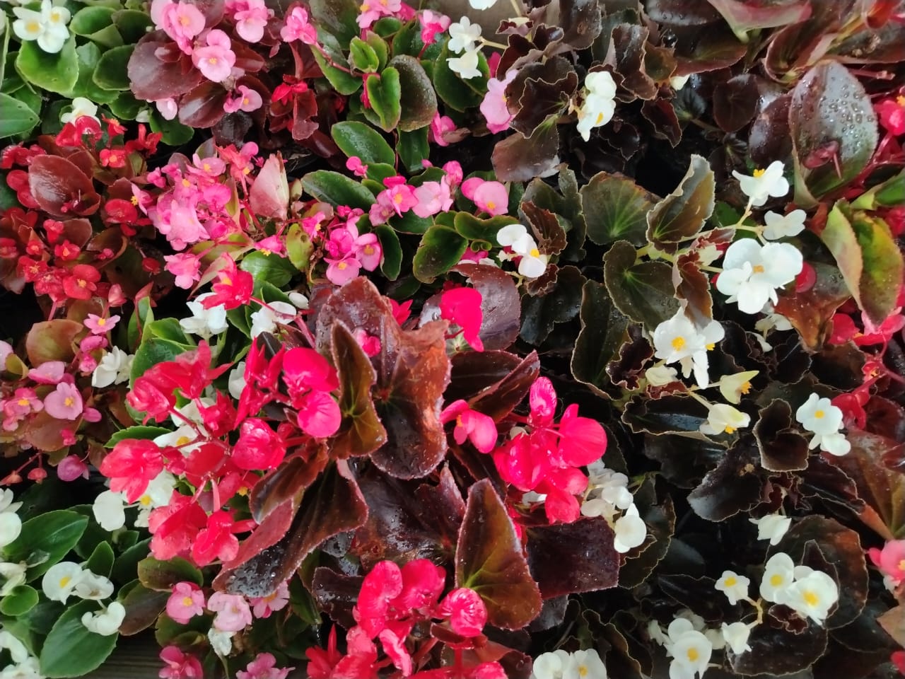 WhatsApp Image 2025-09-25 at 5.23.05 PM