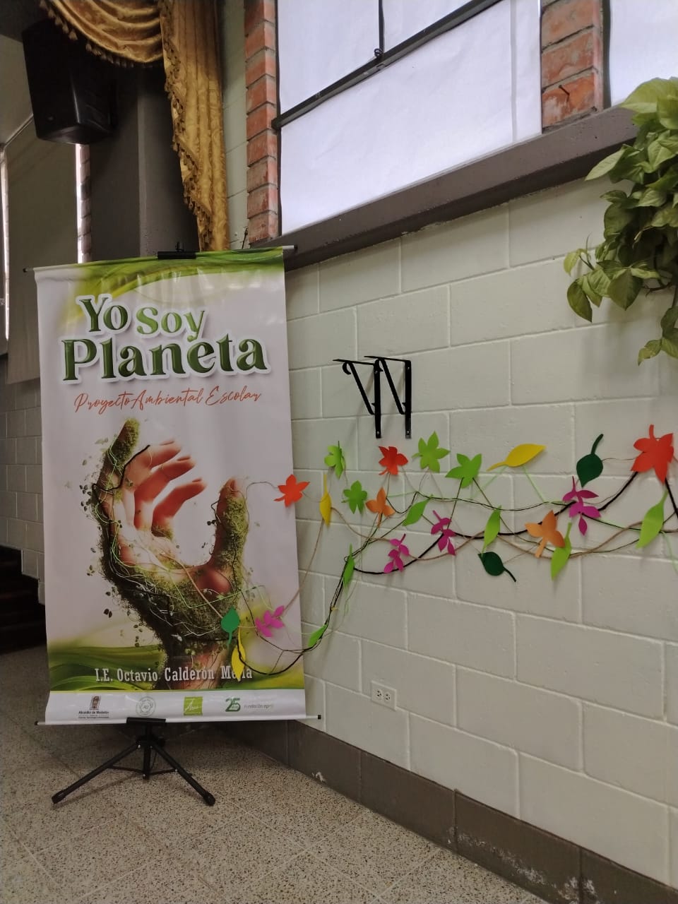 WhatsApp Image 2025-10-11 at 9.41.57 AM