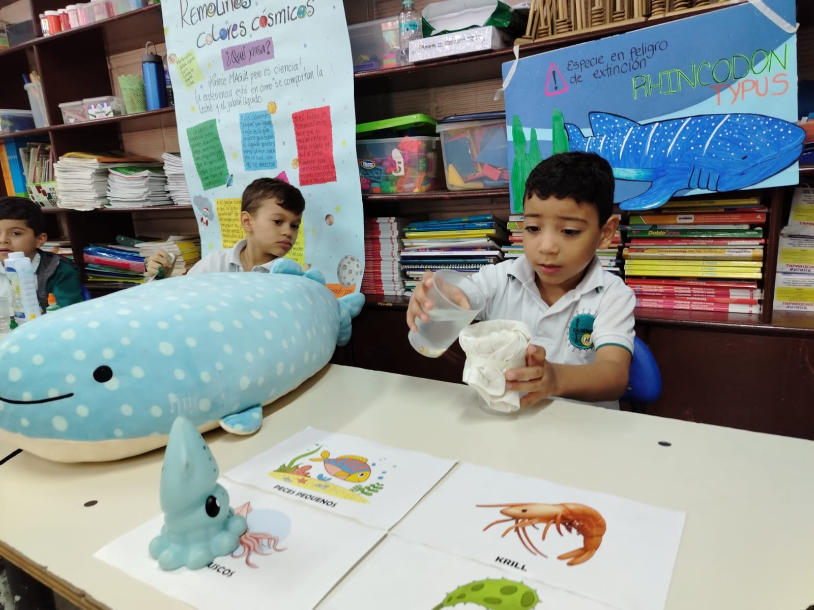 WhatsApp Image 2025-10-18 at 9.13.46 PM (2)