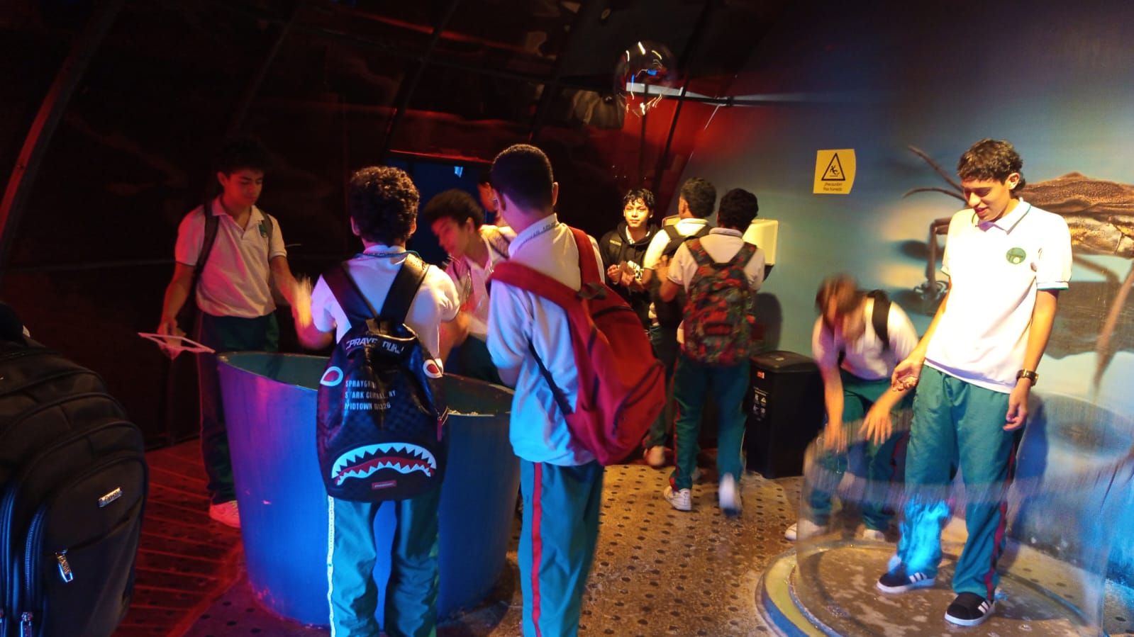 WhatsApp Image 2026-01-09 at 8.07.19 AM (1)