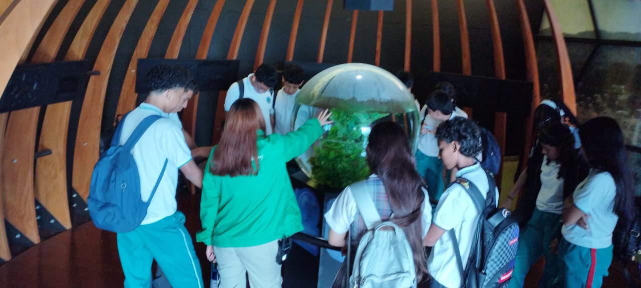 WhatsApp Image 2026-01-09 at 8.07.20 AM (1)